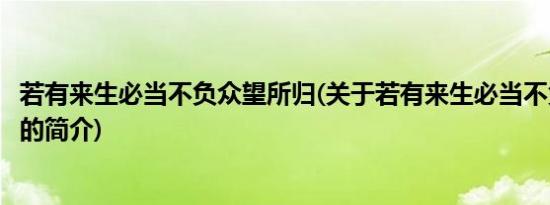 若有来生必当不负众望所归(关于若有来生必当不负众望所归的简介)