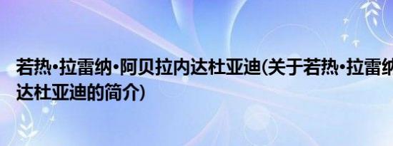 若热·拉雷纳·阿贝拉内达杜亚迪(关于若热·拉雷纳·阿贝拉内达杜亚迪的简介)