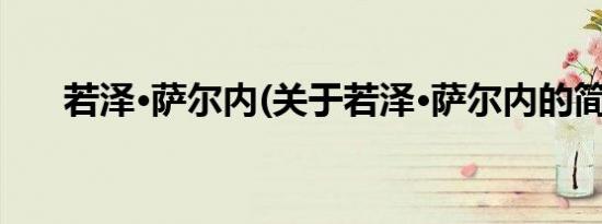 若泽·萨尔内(关于若泽·萨尔内的简介)