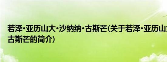 若泽·亚历山大·沙纳纳·古斯芒(关于若泽·亚历山大·沙纳纳·古斯芒的简介)