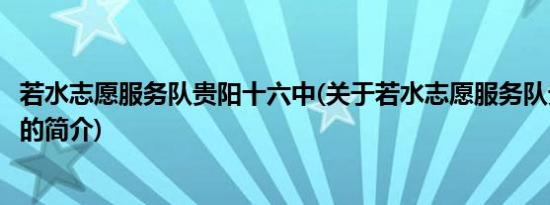 若水志愿服务队贵阳十六中(关于若水志愿服务队贵阳十六中的简介)