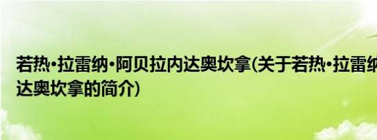 若热·拉雷纳·阿贝拉内达奥坎拿(关于若热·拉雷纳·阿贝拉内达奥坎拿的简介)