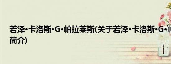 若泽·卡洛斯·G·帕拉莱斯(关于若泽·卡洛斯·G·帕拉莱斯的简介)