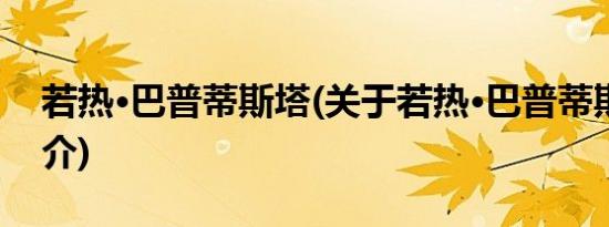 若热·巴普蒂斯塔(关于若热·巴普蒂斯塔的简介)