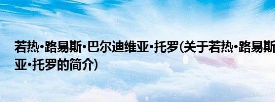 若热·路易斯·巴尔迪维亚·托罗(关于若热·路易斯·巴尔迪维亚·托罗的简介)