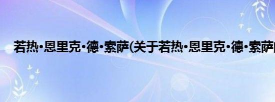 若热·恩里克·德·索萨(关于若热·恩里克·德·索萨的简介)