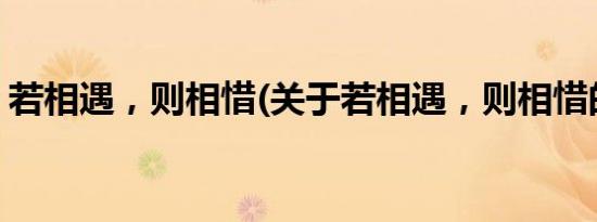 若相遇，则相惜(关于若相遇，则相惜的简介)