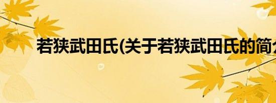 若狭武田氏(关于若狭武田氏的简介)