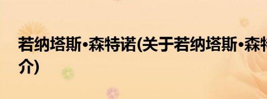 若纳塔斯·森特诺(关于若纳塔斯·森特诺的简介)