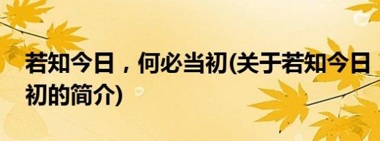 若知今日，何必当初(关于若知今日，何必当初的简介)