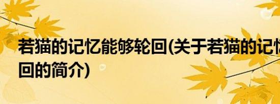 若猫的记忆能够轮回(关于若猫的记忆能够轮回的简介)