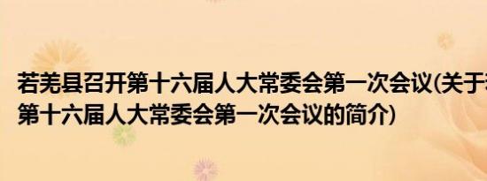 若羌县召开第十六届人大常委会第一次会议(关于若羌县召开第十六届人大常委会第一次会议的简介)