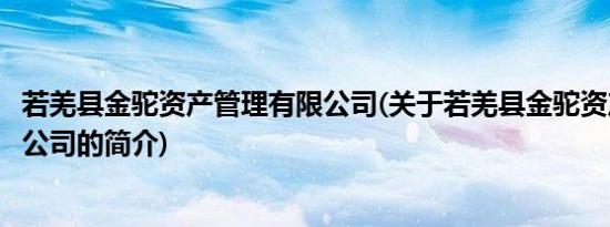 若羌县金驼资产管理有限公司(关于若羌县金驼资产管理有限公司的简介)