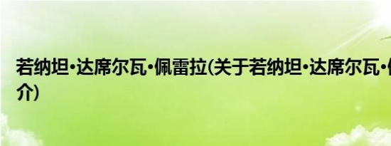 若纳坦·达席尔瓦·佩雷拉(关于若纳坦·达席尔瓦·佩雷拉的简介)