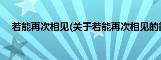 若能再次相见(关于若能再次相见的简介)