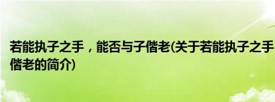 若能执子之手，能否与子偕老(关于若能执子之手，能否与子偕老的简介)