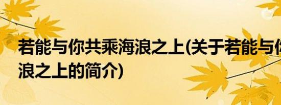 若能与你共乘海浪之上(关于若能与你共乘海浪之上的简介)