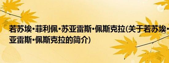 若苏埃·菲利佩·苏亚雷斯·佩斯克拉(关于若苏埃·菲利佩·苏亚雷斯·佩斯克拉的简介)