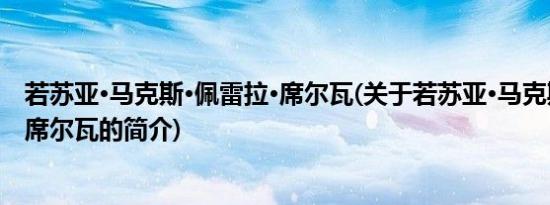 若苏亚·马克斯·佩雷拉·席尔瓦(关于若苏亚·马克斯·佩雷拉·席尔瓦的简介)