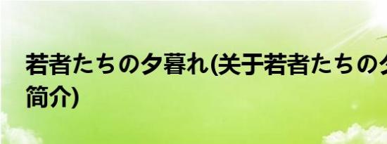 若者たちの夕暮れ(关于若者たちの夕暮れ的简介)