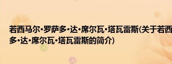 若西马尔·罗萨多·达·席尔瓦·塔瓦雷斯(关于若西马尔·罗萨多·达·席尔瓦·塔瓦雷斯的简介)