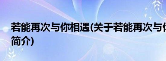 若能再次与你相遇(关于若能再次与你相遇的简介)