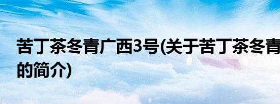 苦丁茶冬青广西3号(关于苦丁茶冬青广西3号的简介)