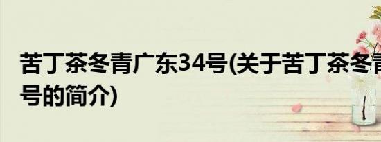 苦丁茶冬青广东34号(关于苦丁茶冬青广东34号的简介)