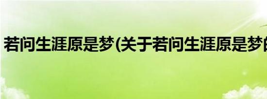 若问生涯原是梦(关于若问生涯原是梦的简介)