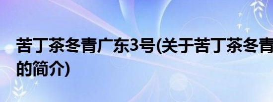 苦丁茶冬青广东3号(关于苦丁茶冬青广东3号的简介)