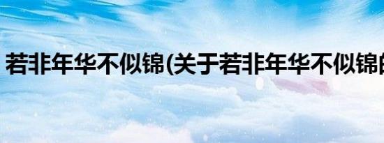 若非年华不似锦(关于若非年华不似锦的简介)