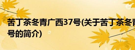 苦丁茶冬青广西37号(关于苦丁茶冬青广西37号的简介)