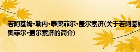 若阿基姆·勒内·泰奥菲尔·盖尔索济(关于若阿基姆·勒内·泰奥菲尔·盖尔索济的简介)