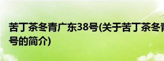 苦丁茶冬青广东38号(关于苦丁茶冬青广东38号的简介)