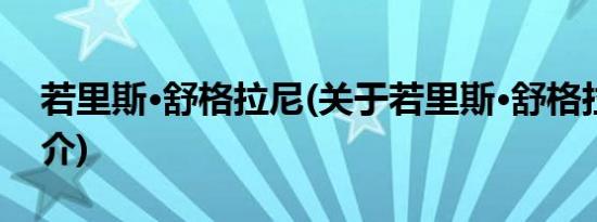 若里斯·舒格拉尼(关于若里斯·舒格拉尼的简介)