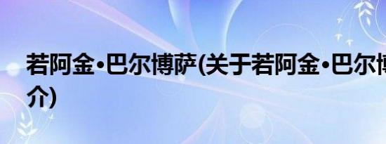 若阿金·巴尔博萨(关于若阿金·巴尔博萨的简介)