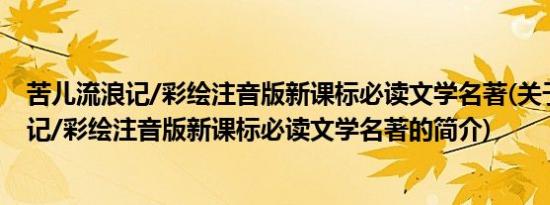 苦儿流浪记/彩绘注音版新课标必读文学名著(关于苦儿流浪记/彩绘注音版新课标必读文学名著的简介)