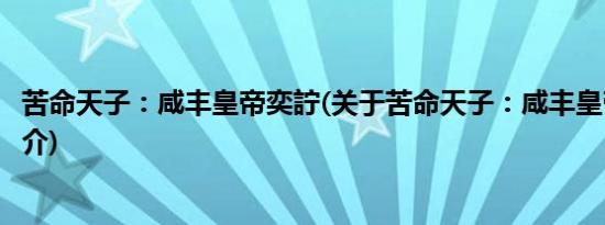 苦命天子：咸丰皇帝奕詝(关于苦命天子：咸丰皇帝奕詝的简介)