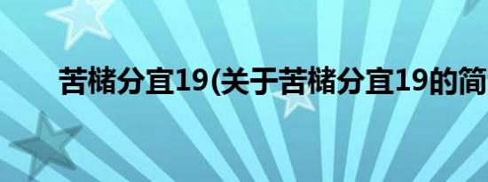 苦槠分宜19(关于苦槠分宜19的简介)