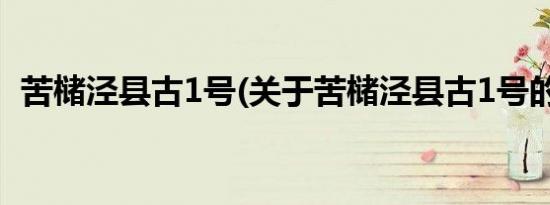 苦槠泾县古1号(关于苦槠泾县古1号的简介)