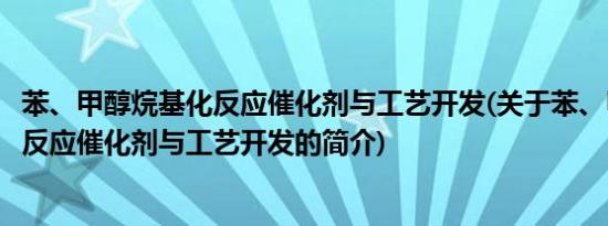 苯、甲醇烷基化反应催化剂与工艺开发(关于苯、甲醇烷基化反应催化剂与工艺开发的简介)