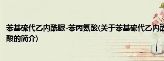 苯基硫代乙内酰脲-苯丙氨酸(关于苯基硫代乙内酰脲-苯丙氨酸的简介)