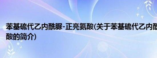 苯基硫代乙内酰脲-正亮氨酸(关于苯基硫代乙内酰脲-正亮氨酸的简介)