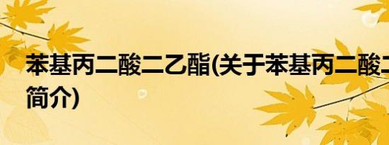 苯基丙二酸二乙酯(关于苯基丙二酸二乙酯的简介)