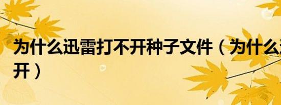 为什么迅雷打不开种子文件（为什么迅雷打不开）