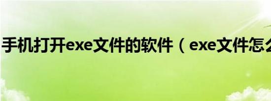 手机打开exe文件的软件（exe文件怎么打开）