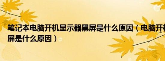 笔记本电脑开机显示器黑屏是什么原因（电脑开机显示器黑屏是什么原因）