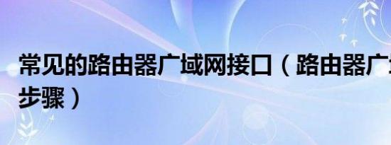 常见的路由器广域网接口（路由器广域网设置步骤）