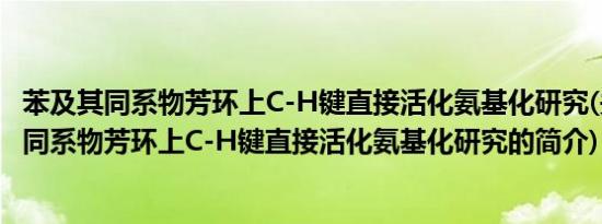 苯及其同系物芳环上C-H键直接活化氨基化研究(关于苯及其同系物芳环上C-H键直接活化氨基化研究的简介)