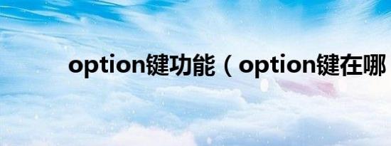 option键功能（option键在哪）